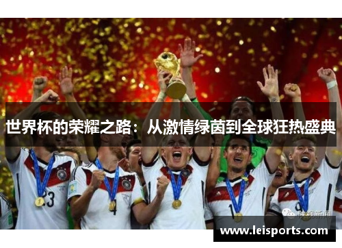 世界杯的荣耀之路:从激情绿茵到全球狂热盛典 世界杯的荣耀之路:从激情绿茵到全球狂热盛典