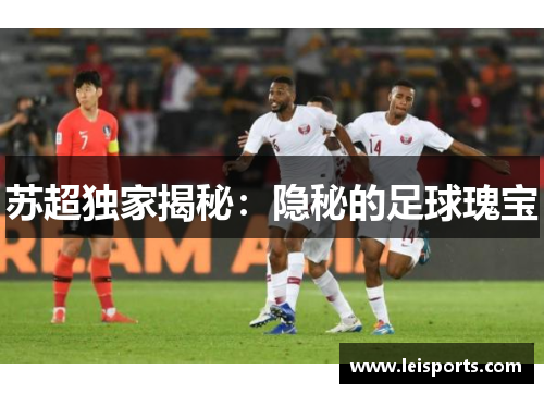 苏超独家揭秘:隐秘的足球瑰宝 苏超独家揭秘:隐秘的足球瑰宝